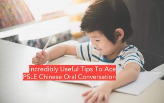 Chinese Oral And Composition Tuition