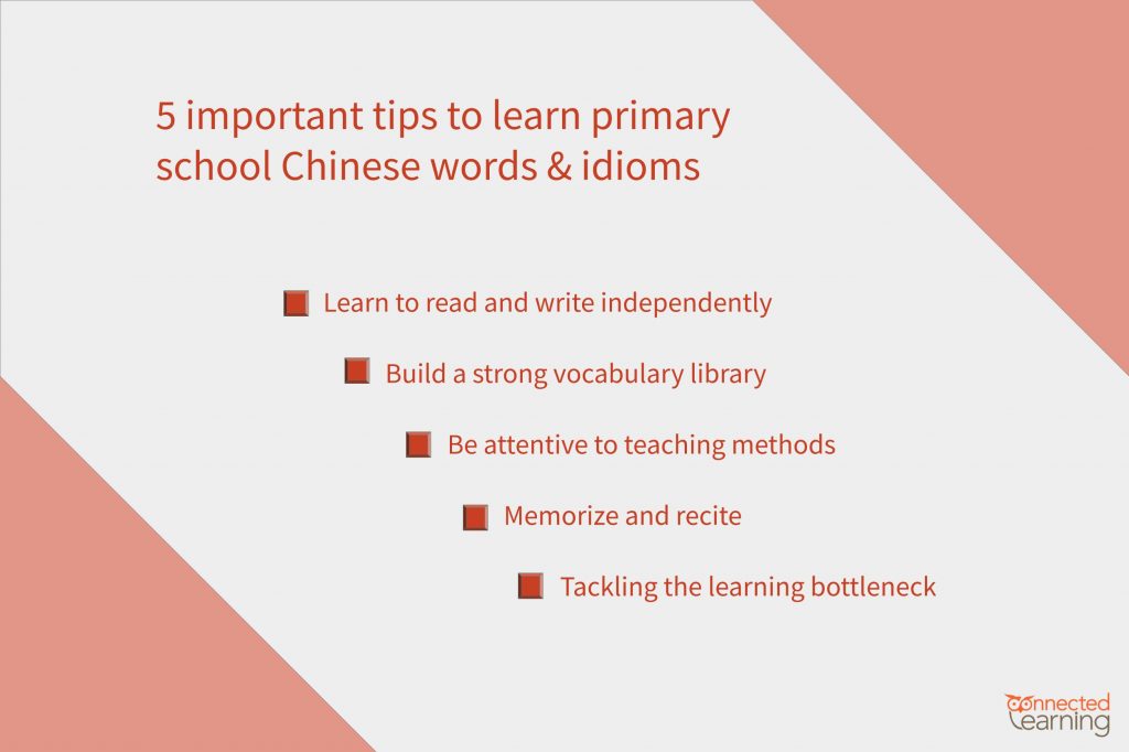 Chinese Words and Idioms (词语与成语) Part 4: 5 Important Tips To Learn Them