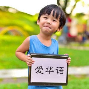 singapore chinese tuition